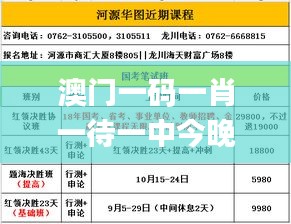澳門一碼一肖一待一中今晚,科學(xué)分析解釋說明_豪華款LTE90.236