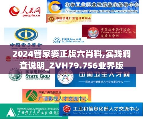 2024管家婆正版六肖料,實(shí)踐調(diào)查說明_ZVH79.756業(yè)界版