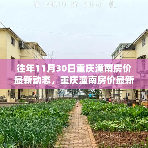 重慶潼南房?jī)r(jià)歷年11月30日動(dòng)態(tài)解析與獲取指南