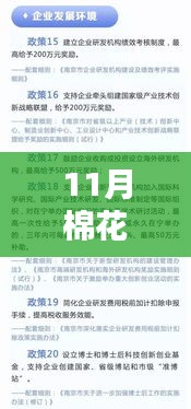 11月棉花補(bǔ)貼細(xì)則最新消息與深度解析，你所關(guān)心的全面匯總