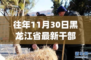 黑龍江省最新干部任命動(dòng)態(tài)，深度解讀與觀點(diǎn)碰撞，歷年趨勢分析