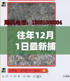 最新捕獵野豬機(jī)詳解，適用于初學(xué)者與進(jìn)階用戶的操作指南
