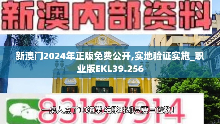 新澳門2024年正版免費公開,實地驗證實施_職業(yè)版EKL39.256