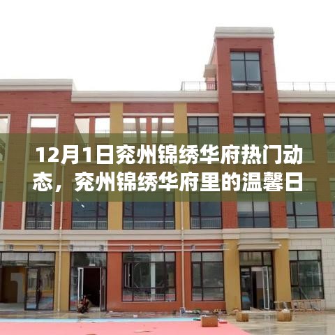 兗州錦繡華府12月1日溫馨日常與趣事回顧