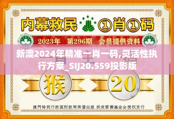 新澳2024年精準(zhǔn)一肖一碼,靈活性執(zhí)行方案_SIJ20.559投影版
