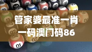 管家婆最準一肖一碼澳門碼86期,解析解釋說法_限量版TKY51.337