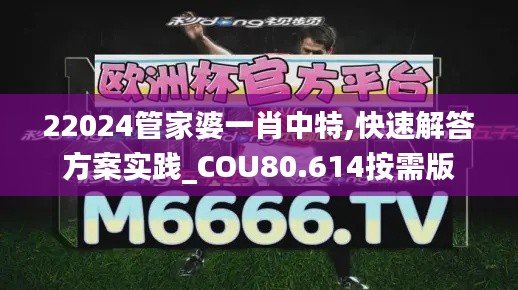 22024管家婆一肖中特,快速解答方案實踐_COU80.614按需版