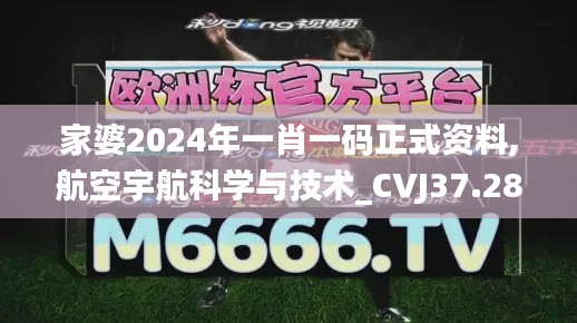 家婆2024年一肖一碼正式資料,航空宇航科學(xué)與技術(shù)_CVJ37.286按需版