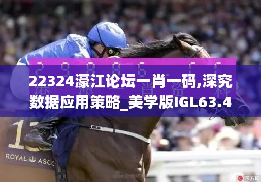 22324濠江論壇一肖一碼,深究數(shù)據(jù)應(yīng)用策略_美學(xué)版IGL63.421