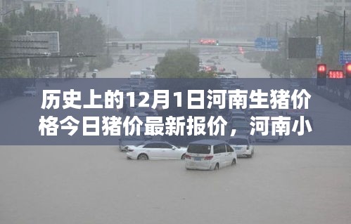 河南豬香坊，探尋歷史豬價背后的美味傳奇與秘密豬香坊今日最新報價