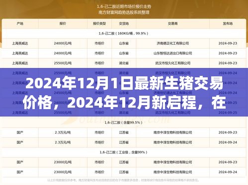2024年12月新啟程，生豬交易最新價(jià)格與心靈之旅的寧?kù)o美景探尋