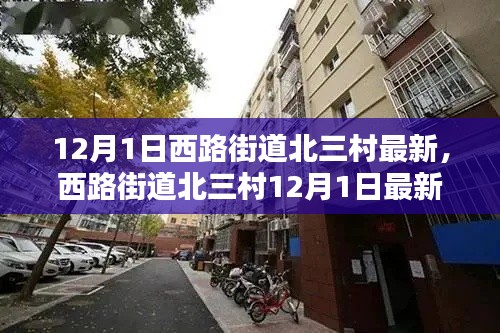 西路街道北三村12月1日最新動態(tài)概覽，最新消息一覽無余