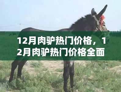 云屯鳥散 第5頁