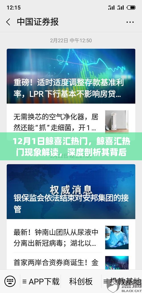 鯨喜匯熱門現(xiàn)象深度解讀，價值與爭議背后的探討