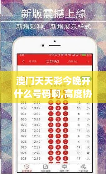 澳門天天彩今晚開(kāi)什么號(hào)碼啊,高度協(xié)調(diào)實(shí)施_WEQ97.567計(jì)算能力版