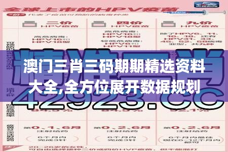 澳門三肖三碼期期精選資料大全,全方位展開數(shù)據(jù)規(guī)劃_PVG48.231冷靜版