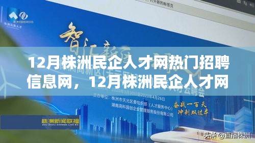 12月株洲民企人才網(wǎng)熱門招聘信息解析與網(wǎng)羅