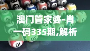 澳門管家婆-肖一碼335期,解析解釋說法_DZA10.900交互式版