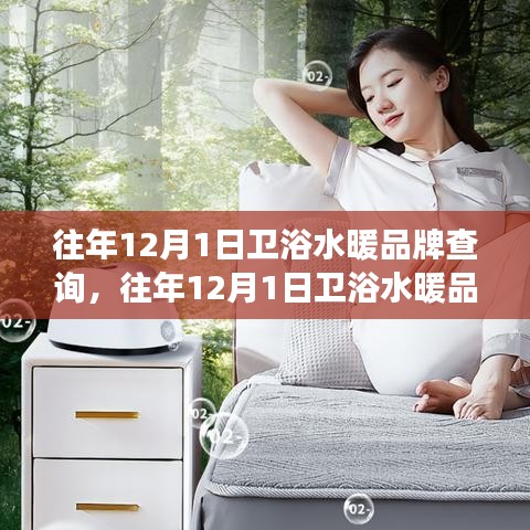 深度解析衛(wèi)浴水暖行業(yè)態(tài)勢(shì)與品牌競(jìng)爭(zhēng)力，歷年品牌查詢(xún)回顧與展望（往年12月1日）