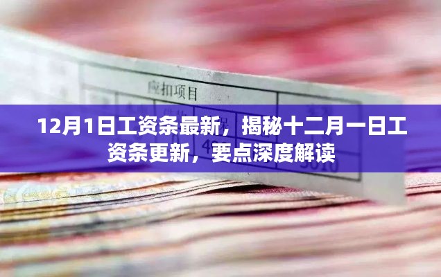 揭秘十二月一日工資條更新深度解讀，最新工資條要點解析