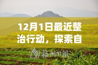 十二月整治行動(dòng)，探索自然美景，凈化心靈之旅啟程在即