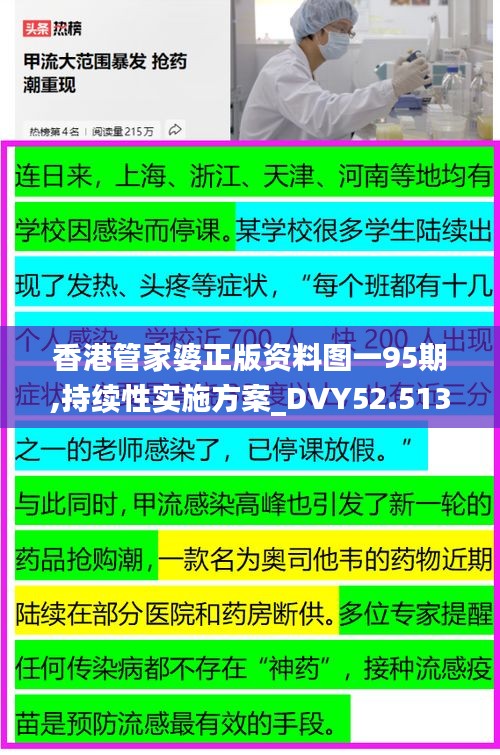 香港管家婆正版資料圖一95期,持續(xù)性實(shí)施方案_DVY52.513測試版