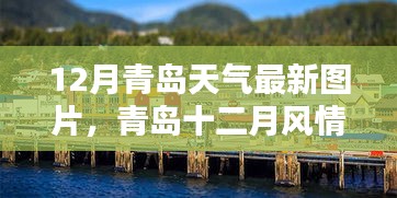 曇花一現(xiàn) 第4頁