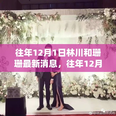 林川與珊珊，歷年12月1日最新動態(tài)回顧