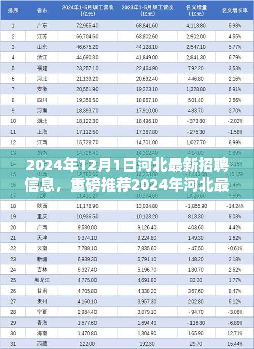 重磅推薦，2024年河北最新招聘信息大揭秘，優(yōu)質(zhì)崗位等你來挑戰(zhàn)