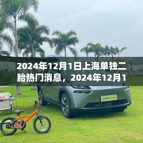上海單獨(dú)二胎政策解讀及申請(qǐng)流程指南（2024年12月更新）