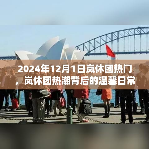 嵐休團(tuán)熱潮背后的溫馨日常，2024年12月1日的歡樂時(shí)光