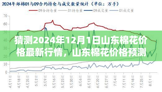 2024年預(yù)測，山東棉花價格行情展望與觀點碰撞