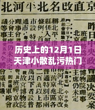 天津小散亂污事件深度解析，歷史上的12月1日回顧與熱議
