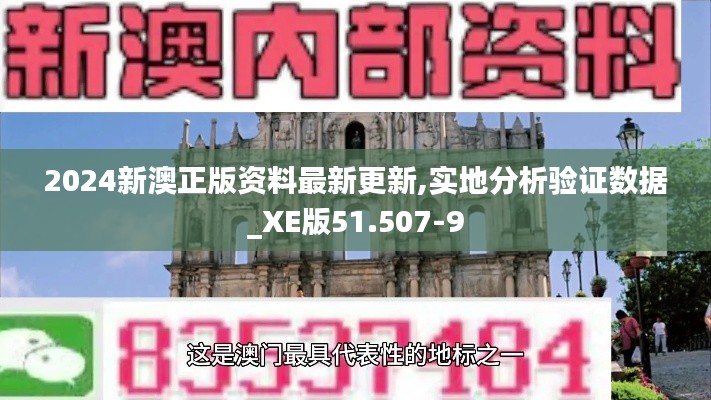 2024新澳正版資料最新更新,實(shí)地分析驗(yàn)證數(shù)據(jù)_XE版51.507-9