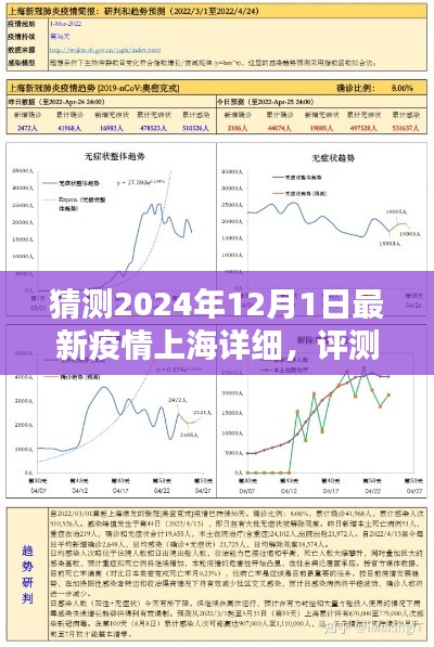 上海最新疫情動態(tài)分析報告（2024年12月），疫情趨勢預(yù)測與評測報告解讀