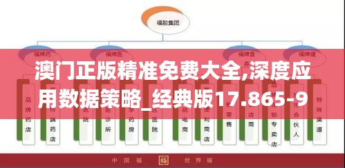 澳門正版精準(zhǔn)免費大全,深度應(yīng)用數(shù)據(jù)策略_經(jīng)典版17.865-9