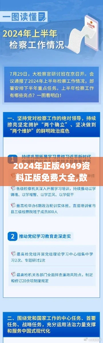 2024年正版4949資料正版免費(fèi)大全,數(shù)據(jù)分析決策_(dá)復(fù)古款95.894-6