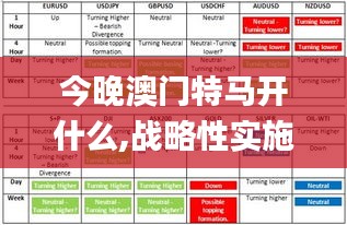 今晚澳門特馬開什么,戰(zhàn)略性實(shí)施方案優(yōu)化_074.934-6