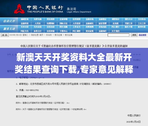 新澳天天開獎(jiǎng)資料大全最新開獎(jiǎng)結(jié)果查詢下載,專家意見(jiàn)解釋定義_XE版78.306-2