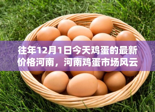 河南雞蛋市場風(fēng)云揭秘，往年12月1日今日雞蛋最新價格及背后故事深度剖析