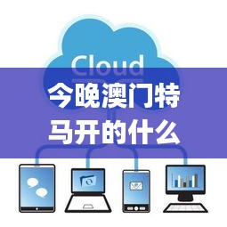 今晚澳門特馬開的什么,實(shí)地驗(yàn)證數(shù)據(jù)分析_Premium96.373-5