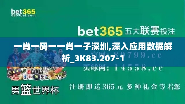 一肖一碼一一肖一子深圳,深入應用數(shù)據(jù)解析_3K83.207-1