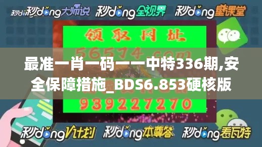 最準(zhǔn)一肖一碼一一中特336期,安全保障措施_BDS6.853硬核版