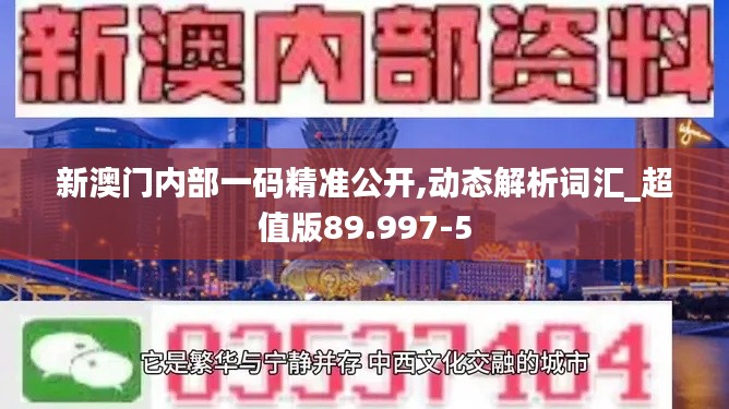 新澳門內(nèi)部一碼精準(zhǔn)公開,動態(tài)解析詞匯_超值版89.997-5
