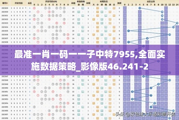 最準(zhǔn)一肖一碼一一子中特7955,全面實(shí)施數(shù)據(jù)策略_影像版46.241-2