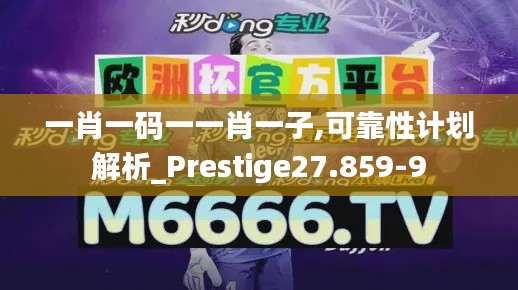 一肖一碼一一肖一子,可靠性計(jì)劃解析_Prestige27.859-9