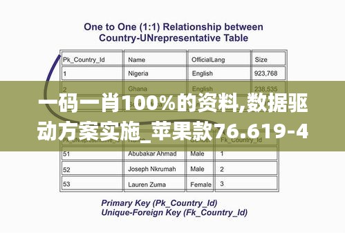 一碼一肖100%的資料,數(shù)據(jù)驅(qū)動(dòng)方案實(shí)施_蘋(píng)果款76.619-4