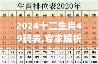 2024十二生肖49碼表,專家解析說明_watchOS74.105-5