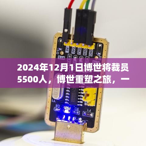 博世重塑之旅，裁員背后的綠色啟示與心靈靜謐之旅的啟示