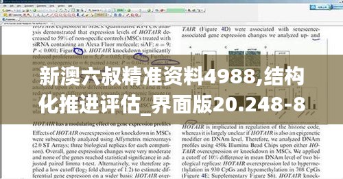新澳六叔精準資料4988,結構化推進評估_界面版20.248-8